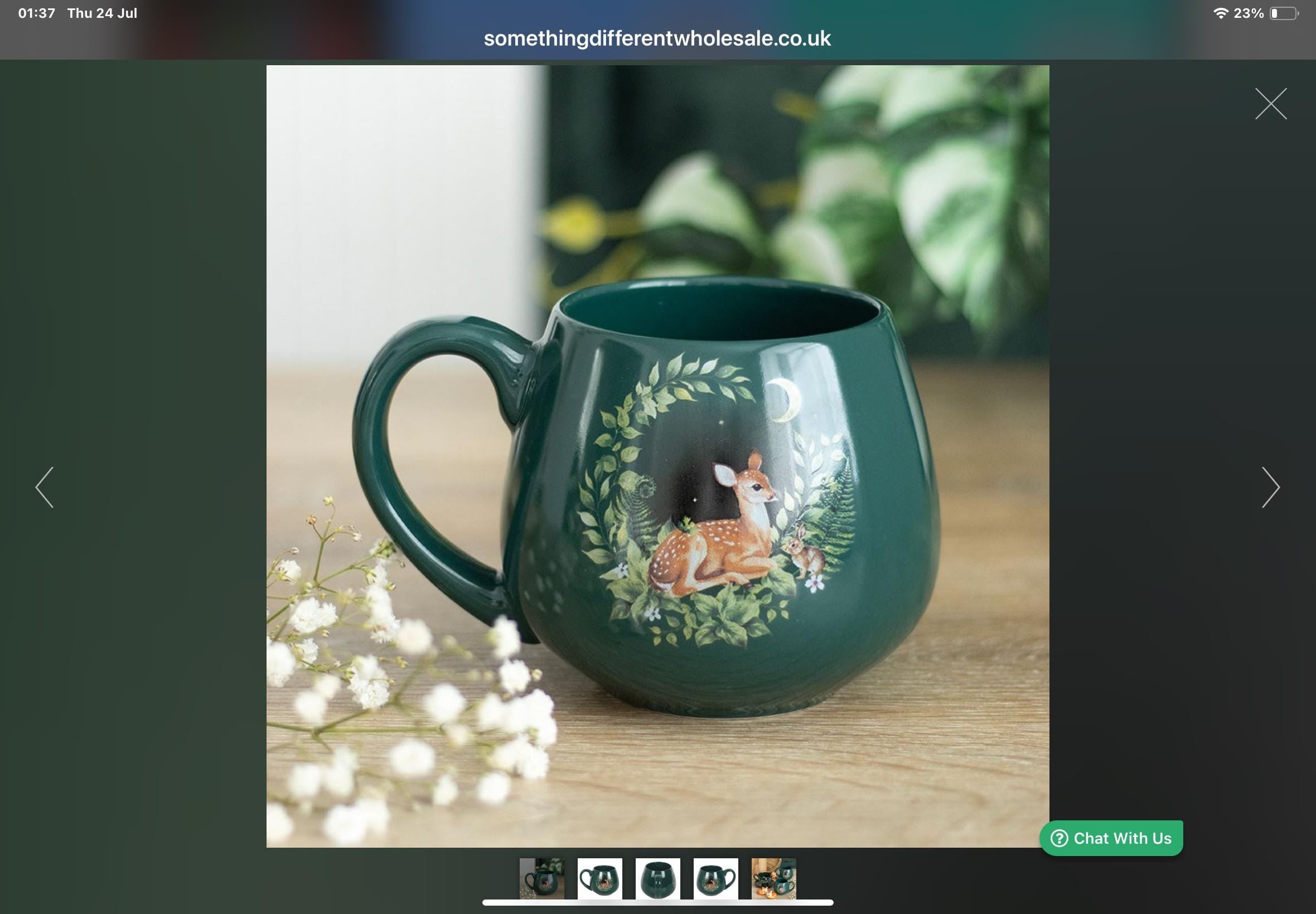 Cauldron Mug Harvest Moon